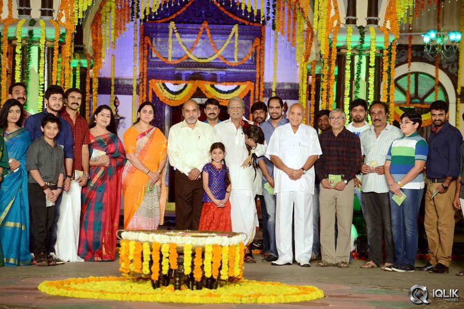 Dagudumutha-Dandakor-Movie-Audio-Launch